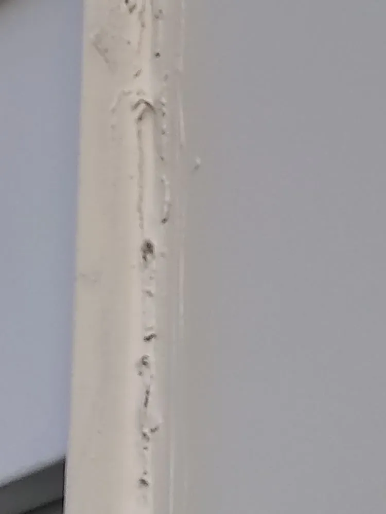 Slide of Jeff's Painting & Remodeling