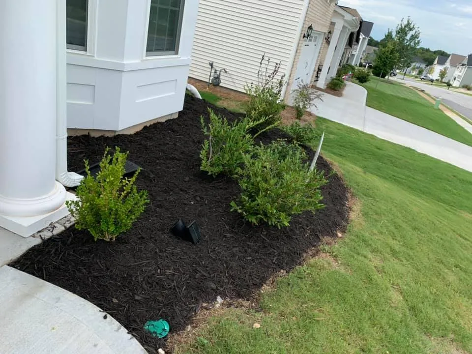 Expert residential roofing service experts serving Gray Court, SC - Jeronimo Construction and Landscaping