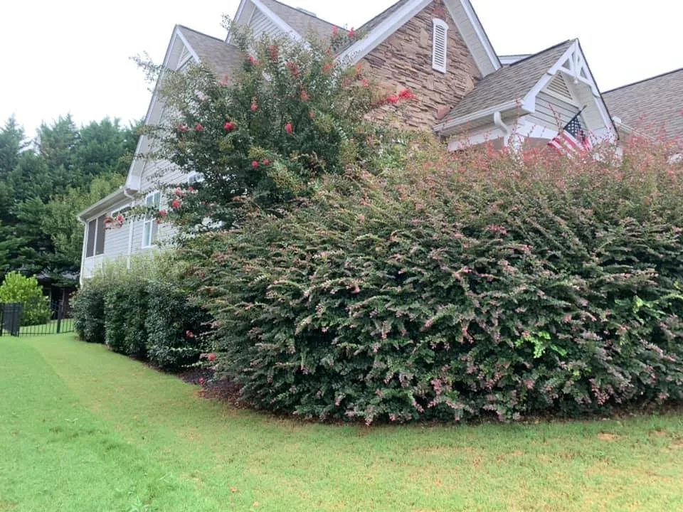 Top-rated shingle roofing service for homes in Gray Court, SC by Jeronimo Construction and Landscaping