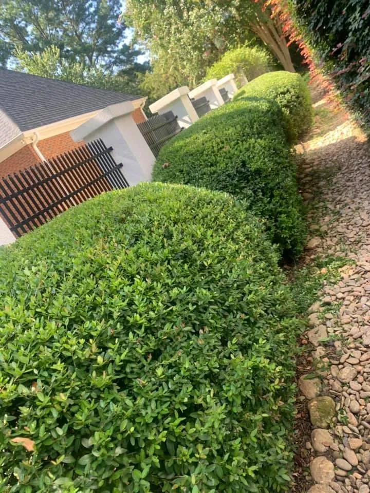 Trusted roof inspection in Gray Court, SC - Jeronimo Construction and Landscaping