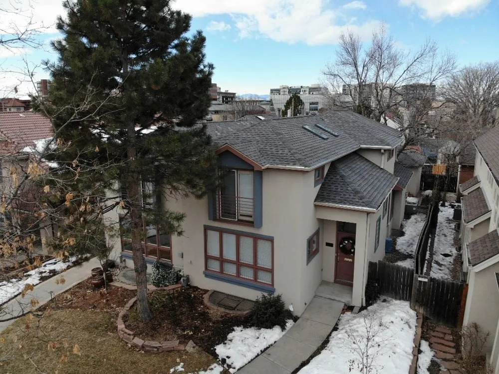 Slide of Jesse Roofs