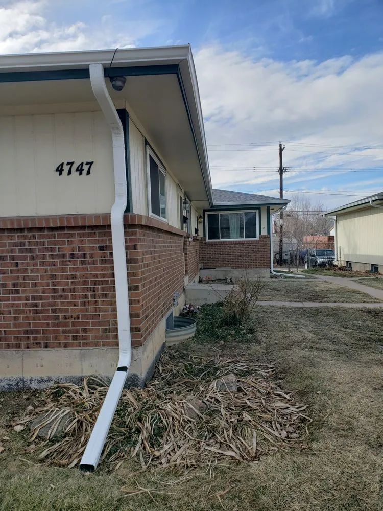 Slide of Jesse Roofs