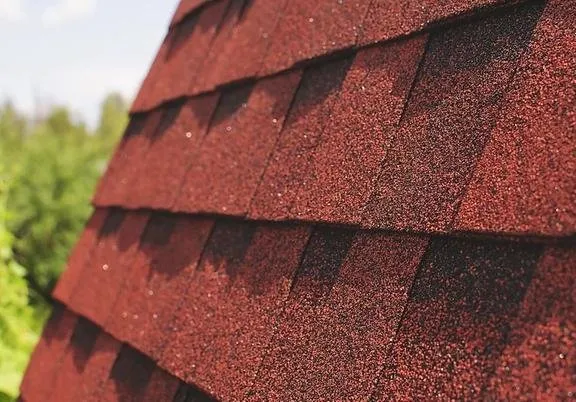 Slide of Jesse Roofs