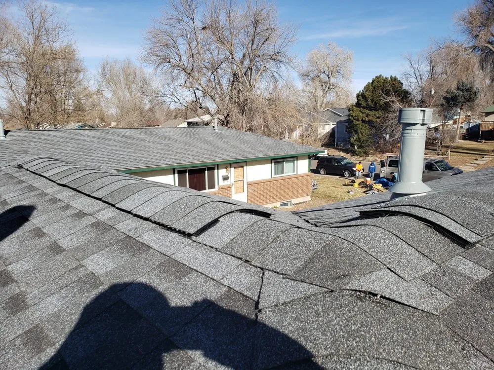 Slide of Jesse Roofs