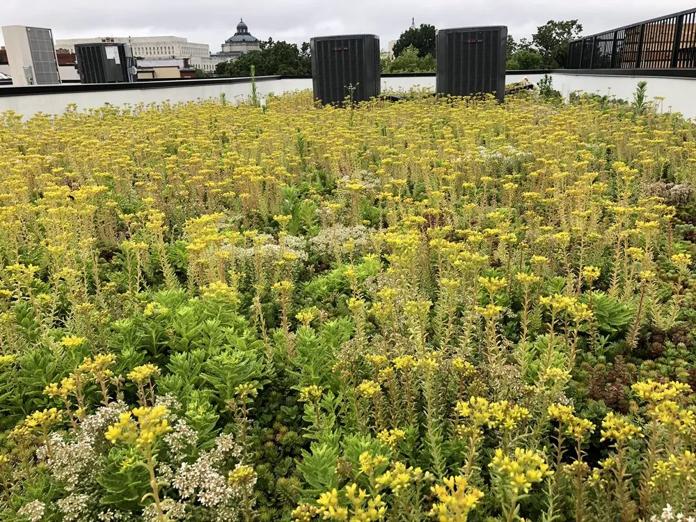 Slide of Jet Renovation