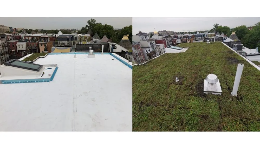 Slide of Jet Renovation