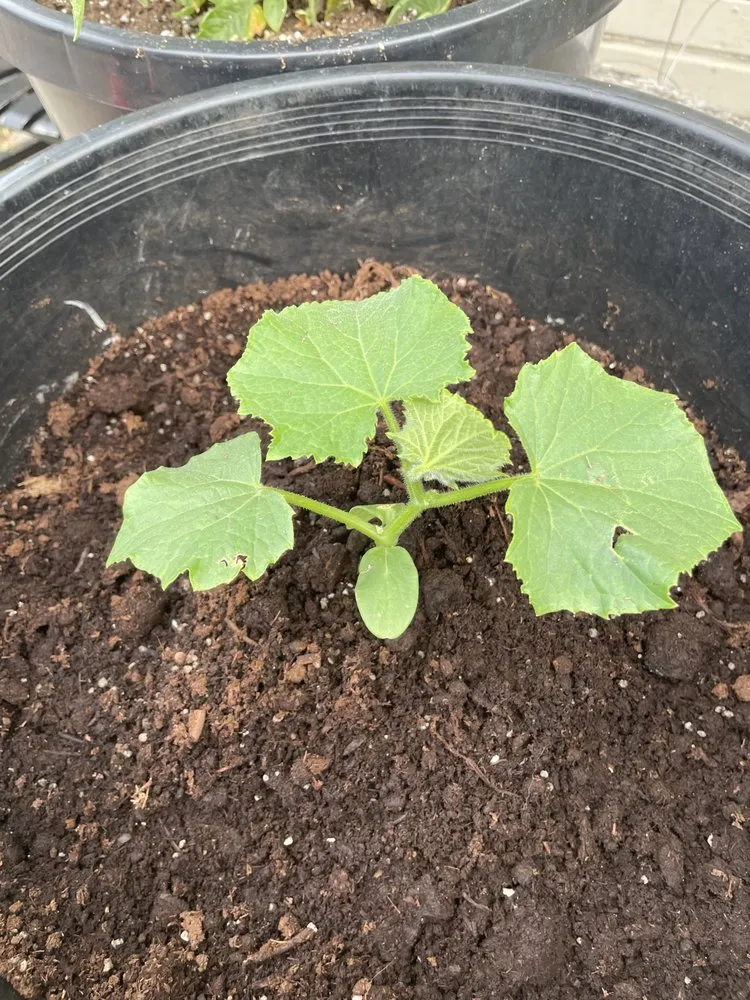 Slide of Jezak Property Management