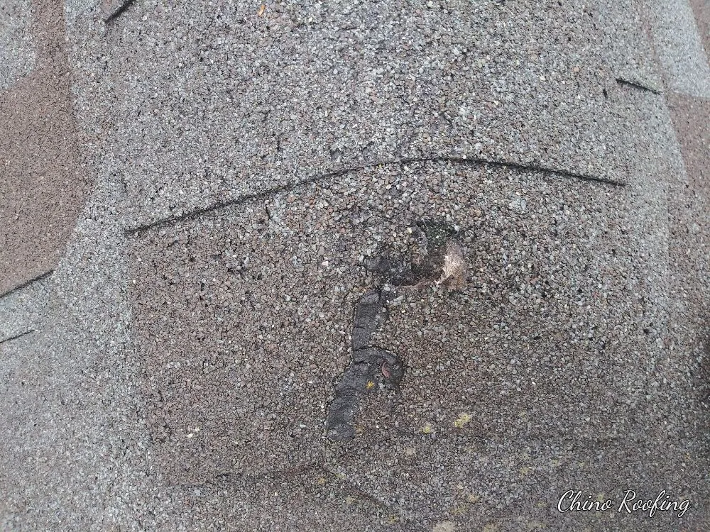 Slide of JG Rofing and Restorattion LLC