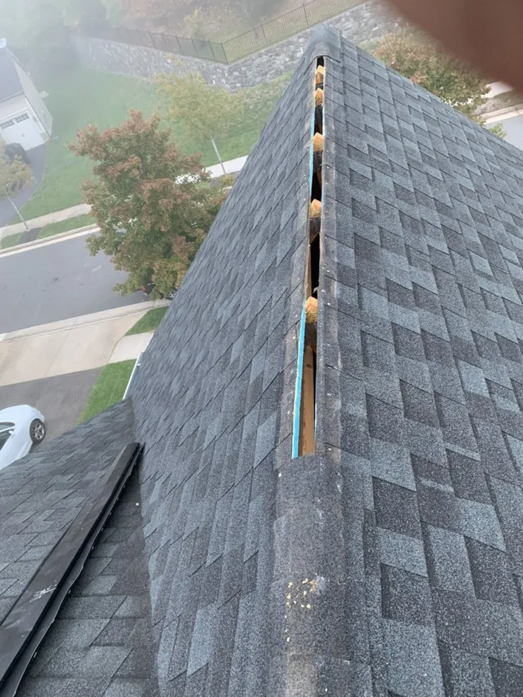 Slide of JJ Diaz Contractor