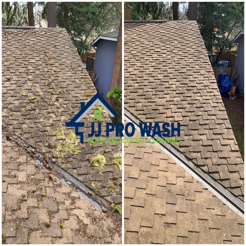 Slide of JJ Pro Wash