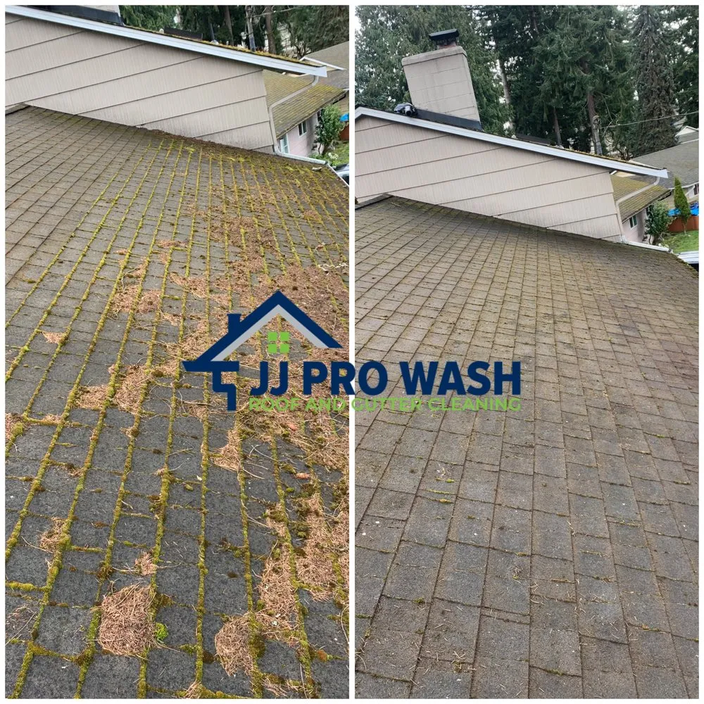 Slide of JJ Pro Wash