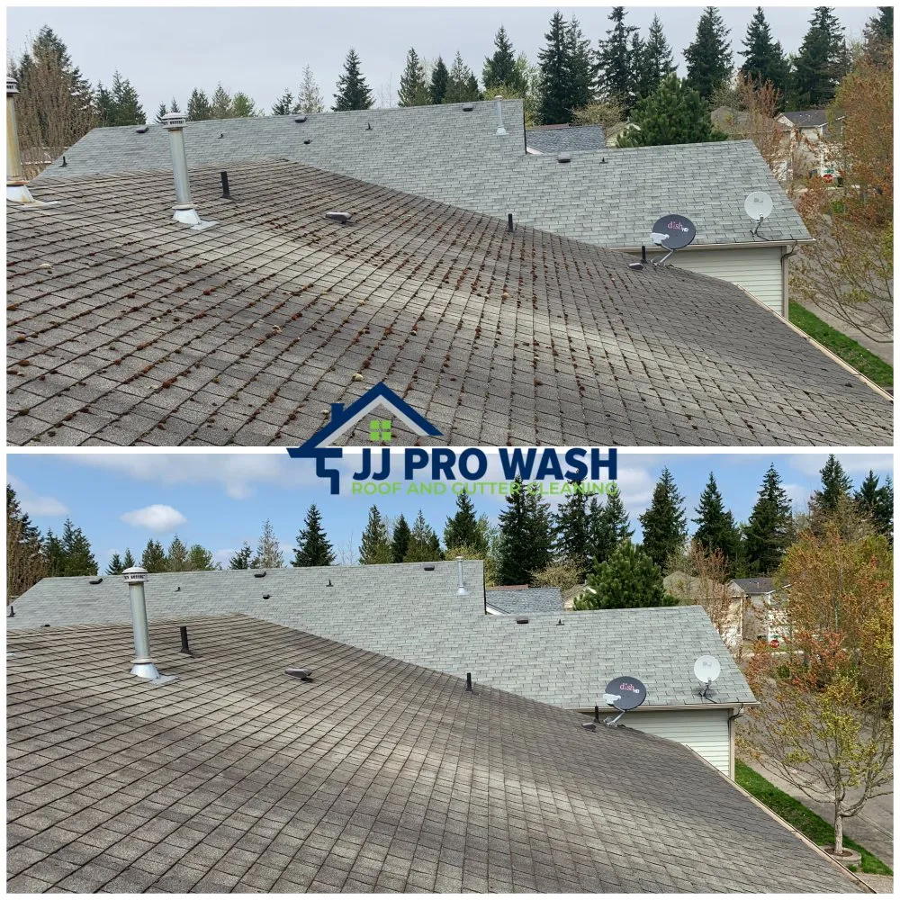 Slide of JJ Pro Wash