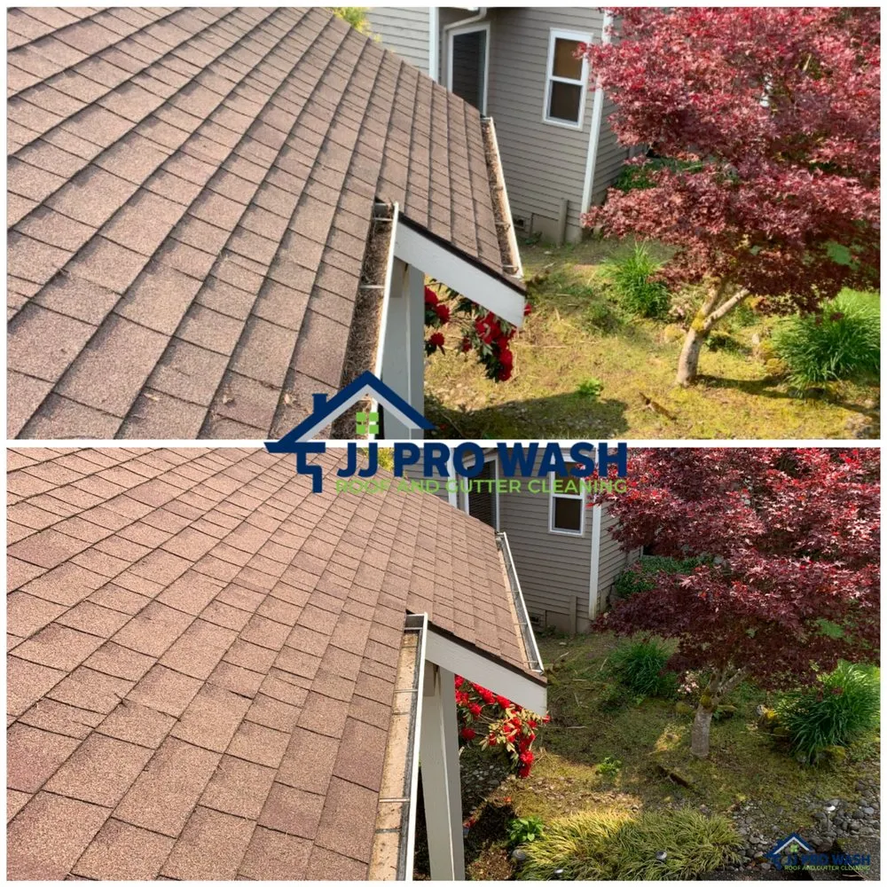 Slide of JJ Pro Wash