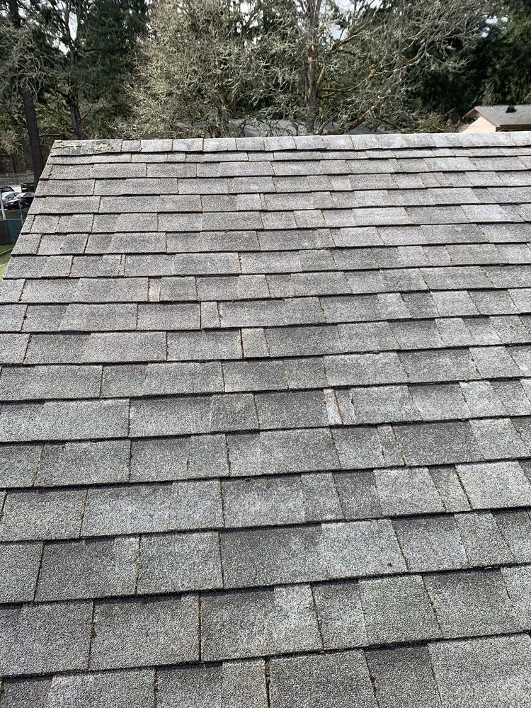 Slide of JJ Pro Wash