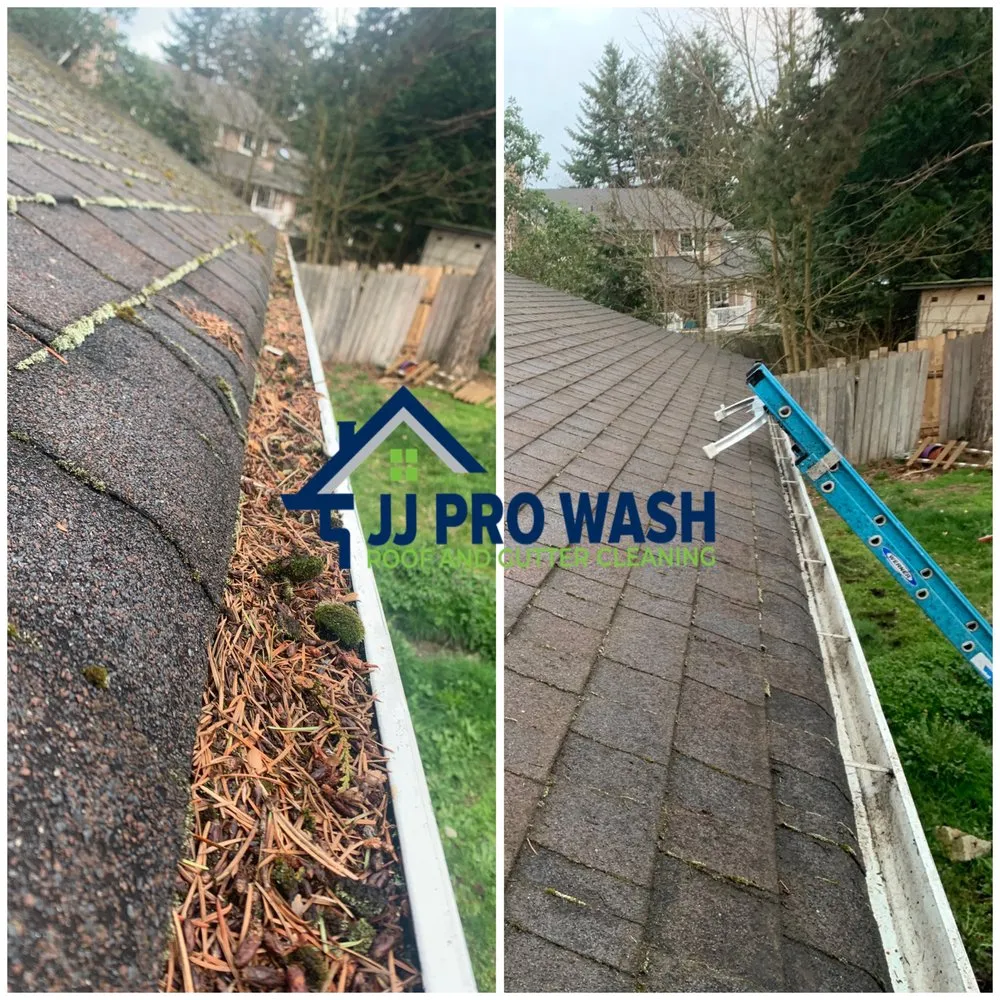 Slide of JJ Pro Wash