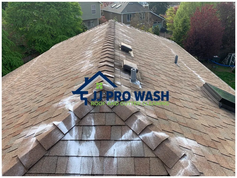 Slide of JJ Pro Wash