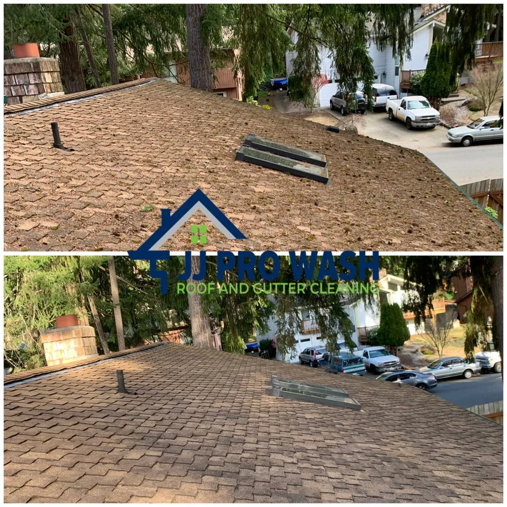 Slide of JJ Pro Wash