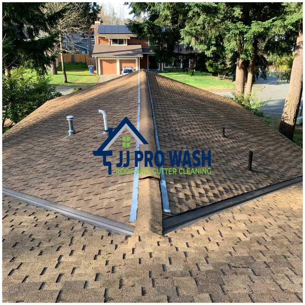 Slide of JJ Pro Wash