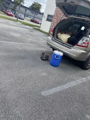 JJ Quality Builders Logo