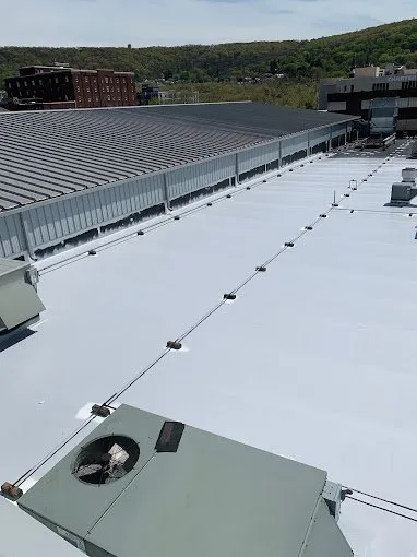 Slide of JJD Urethane