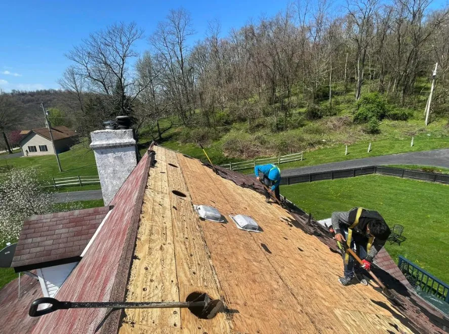 Slide of JJM Quality Service