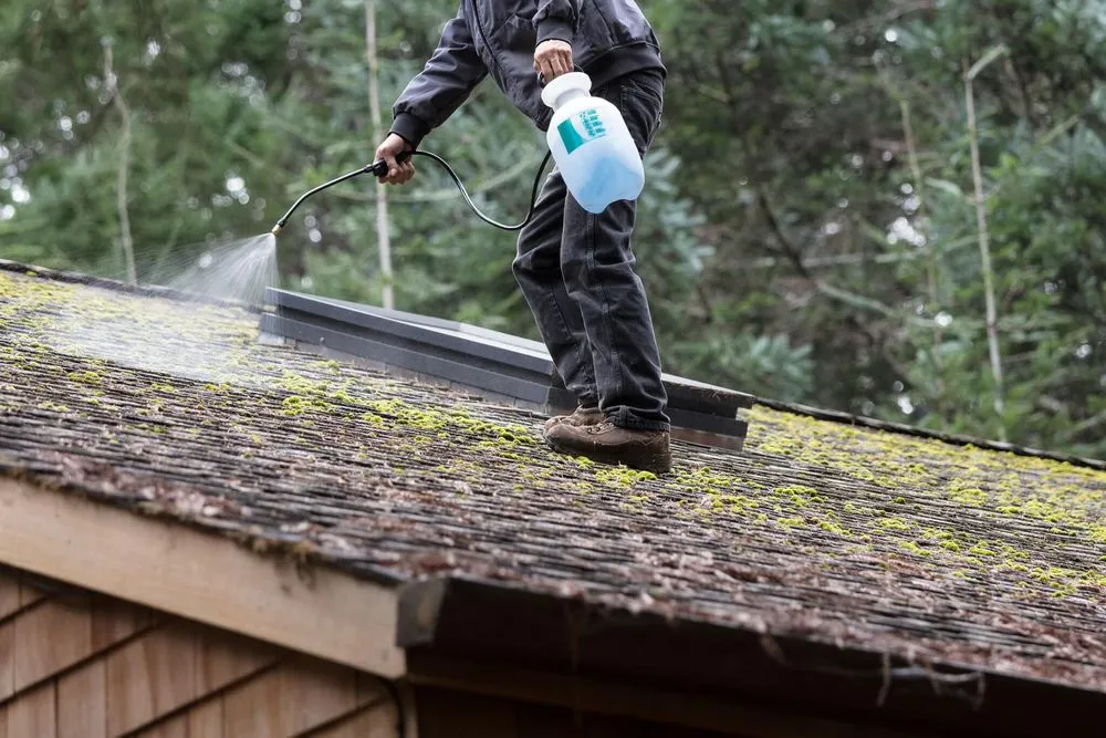 Slide of JJ’s Roof & Gutter Cleaning