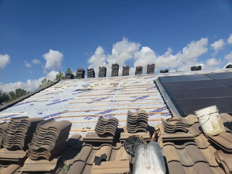 Slide of JK Painting