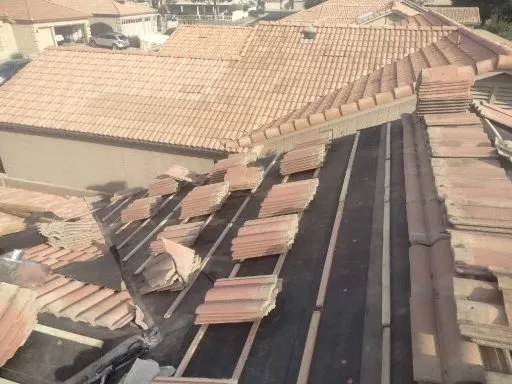 Slide of JK Painting