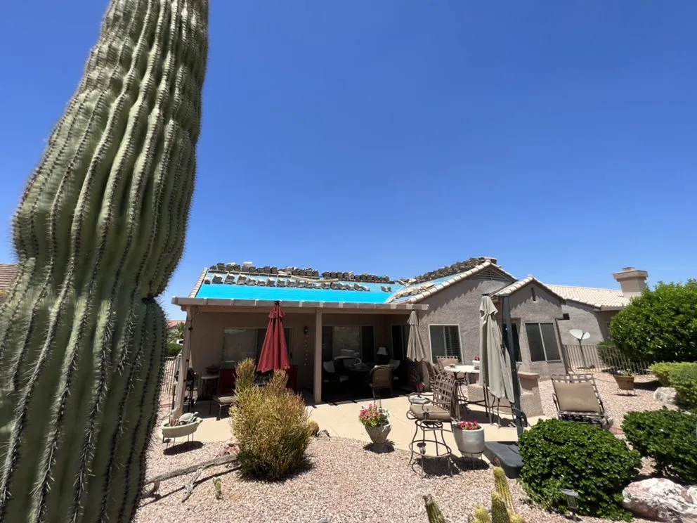 Slide of JK Painting