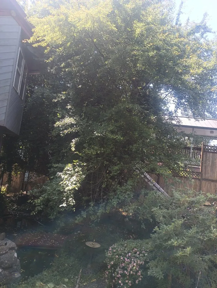 Slide of JL Gutters And General Contractor