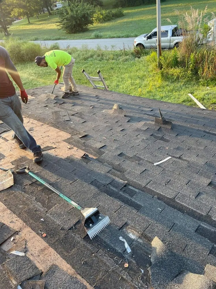 Slide of JL Tree Service and Roofing