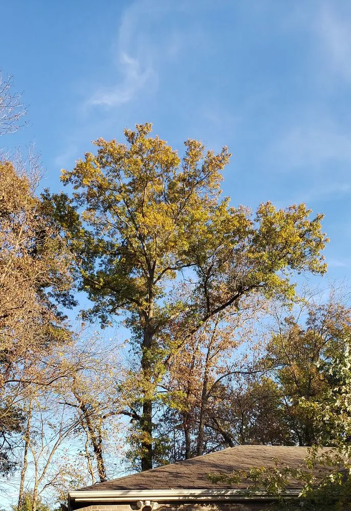 Slide of JL Tree Service and Roofing