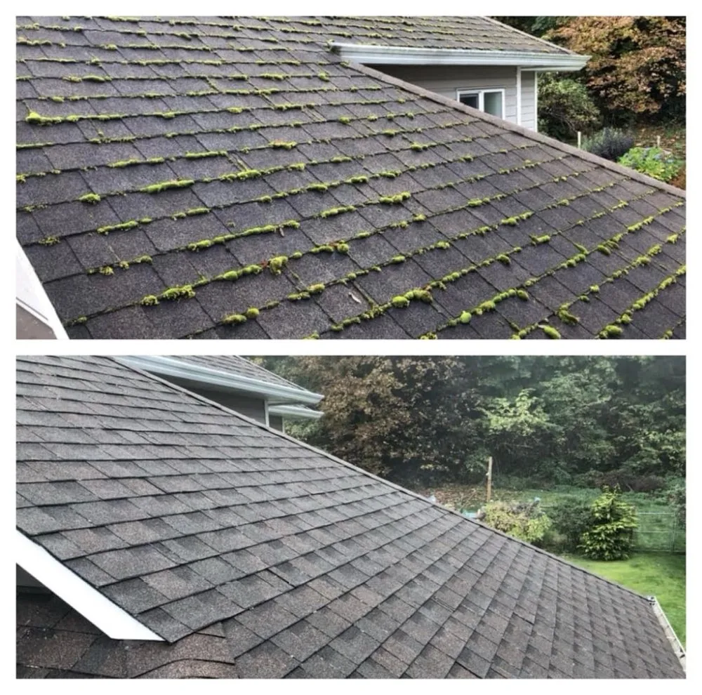 Slide of JLM Roofing