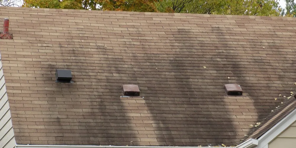 Slide of JLP Structures