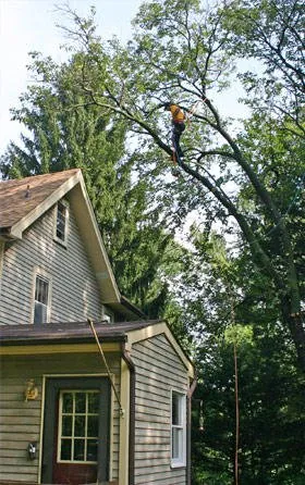 Slide of Jma Contracting