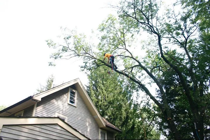 Slide of Jma Contracting