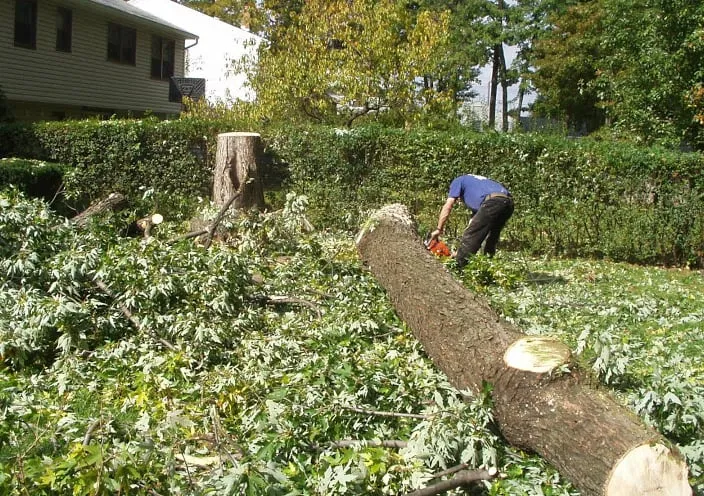 Slide of Jma Contracting