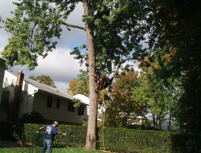 Slide of Jma Contracting