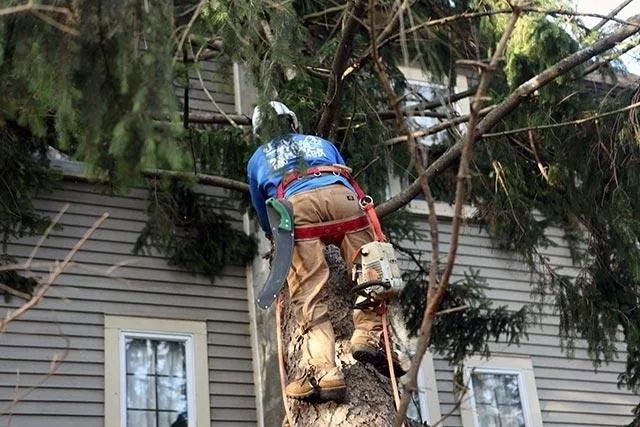 Slide of Jma Contracting