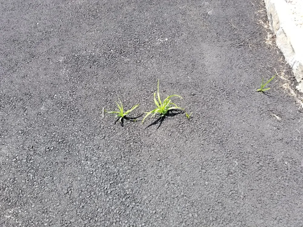 Slide of JMD Construction