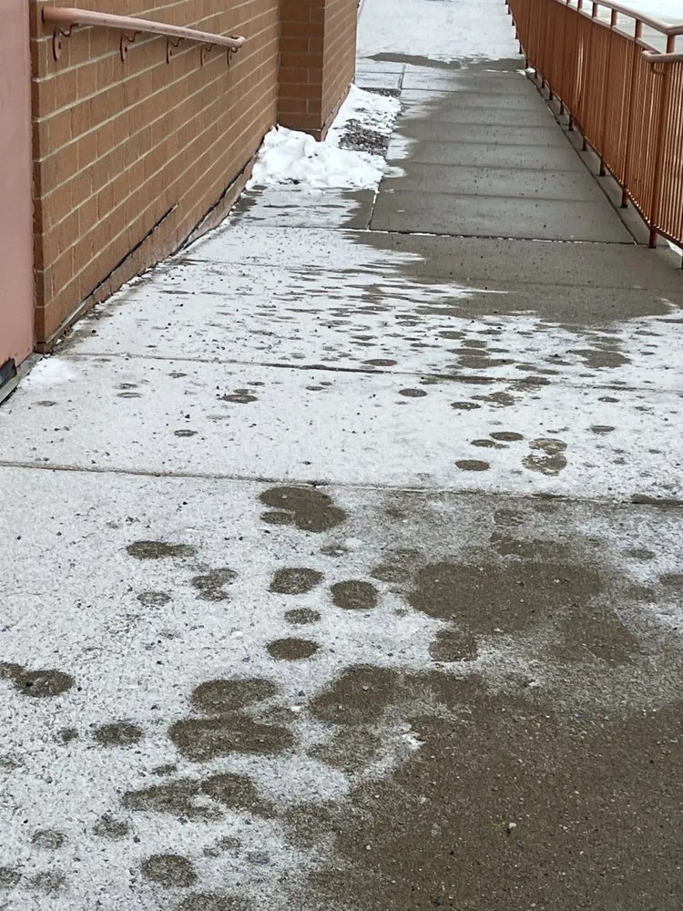 Slide of JMG General Production