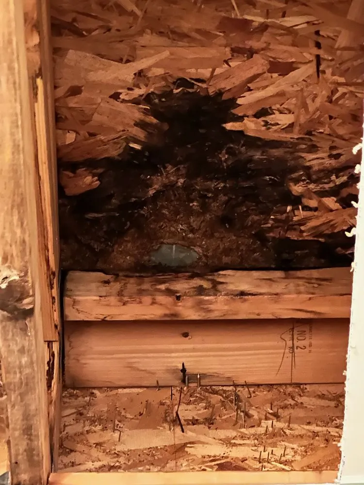 Slide of JML Coating