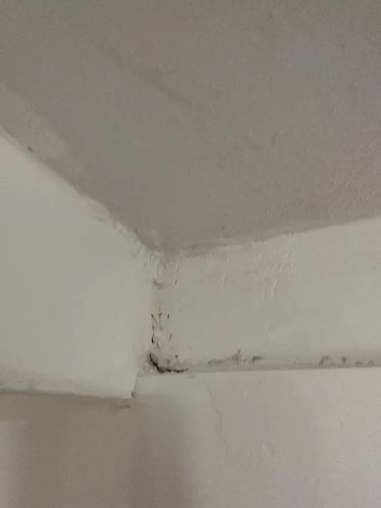 Slide of JMT Construction