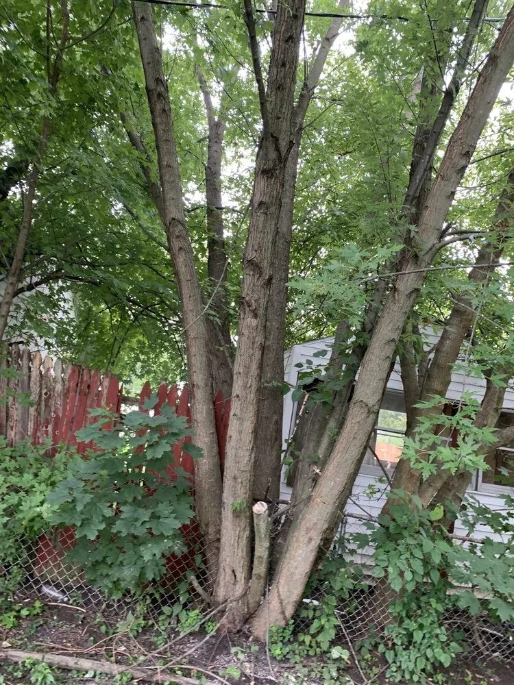 Slide of JNR Home Improvement