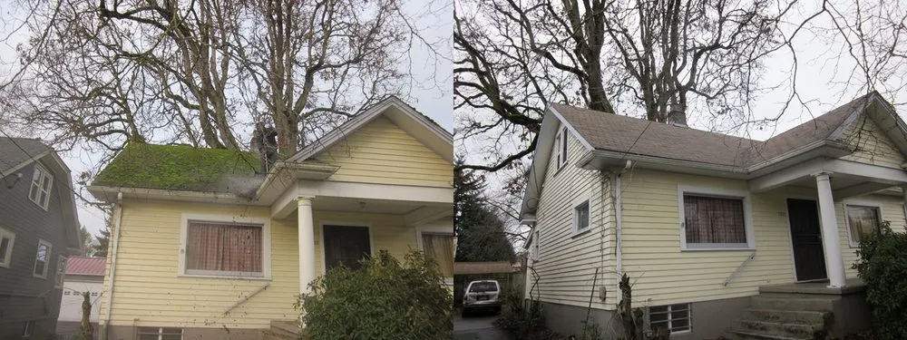 Slide of JNR Roof Cleaning and Maintenance