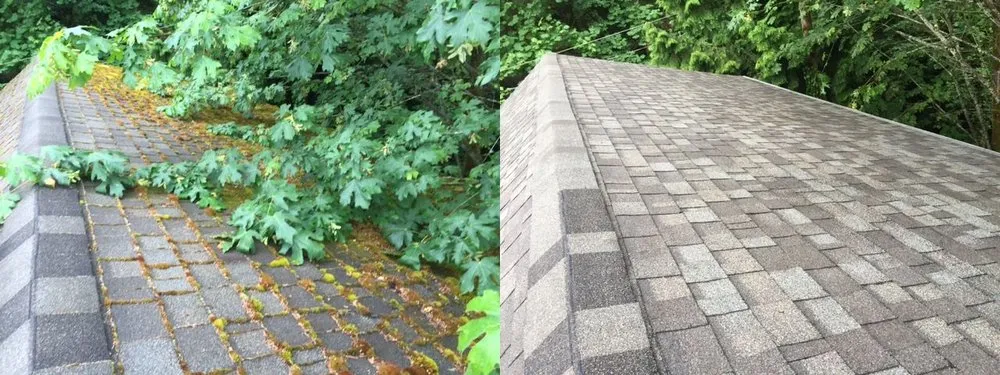 Slide of JNR Roof Cleaning and Maintenance