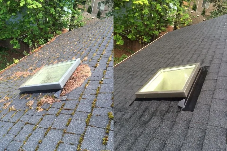 Slide of JNR Roof Cleaning and Maintenance
