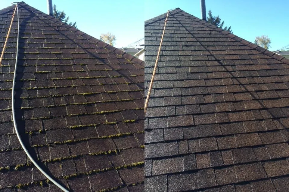Slide of JNR Roof Cleaning and Maintenance