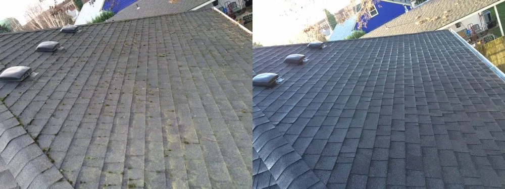 Slide of JNR Roof Cleaning and Maintenance