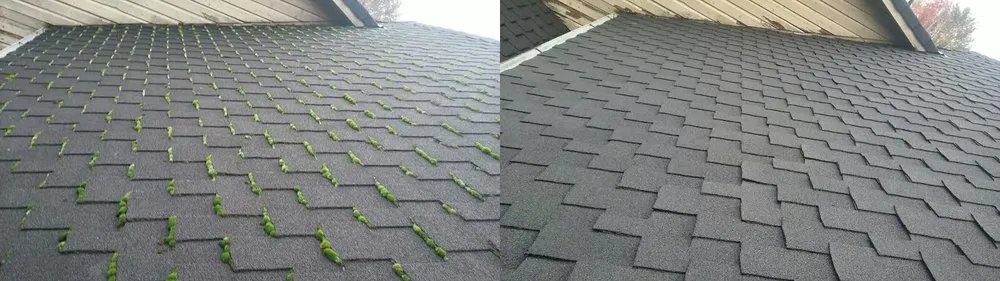 Slide of JNR Roof Cleaning and Maintenance